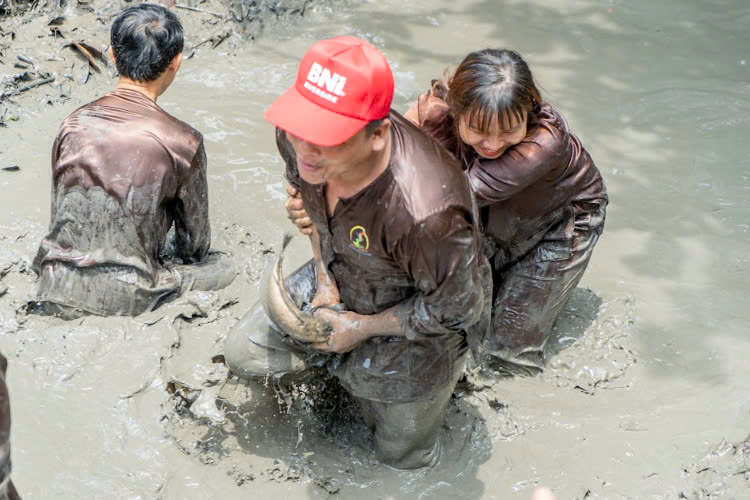 2. Hoạt động tát mương bắt cá tại vườn du lịch sinh thái Tuấn Tường: