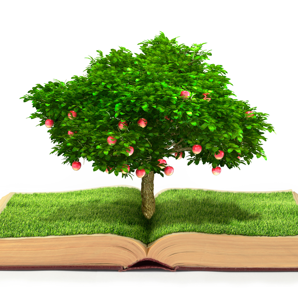 Kiến thức ẩm thực