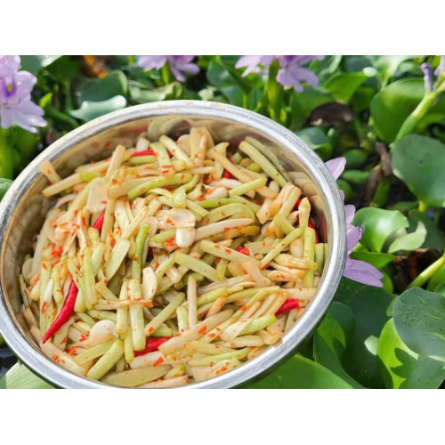 Dưa Ngó Lục Bình – Món Ăn Dân Dã Đậm Vị Quê Hương