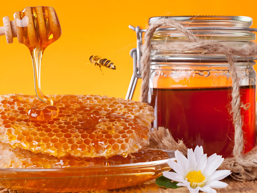 Mật ong - Khu du lịch Tuấn Tường