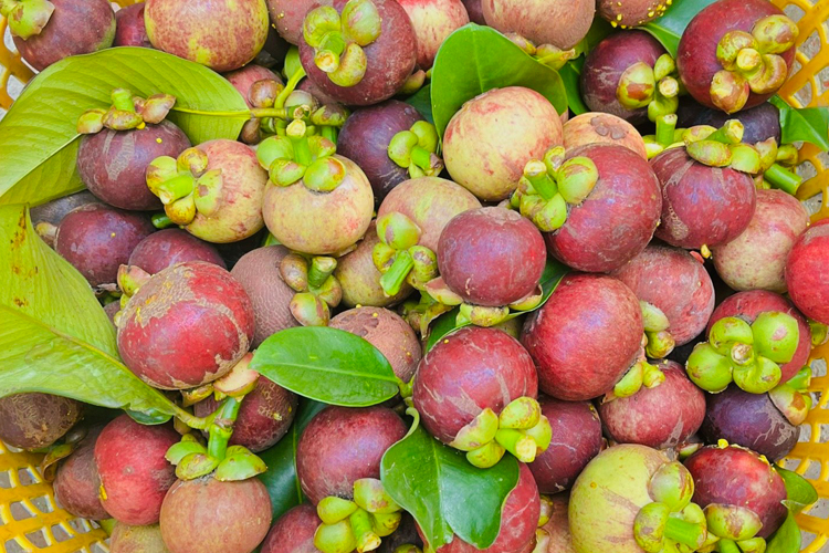 Hương vị trái măng cụt