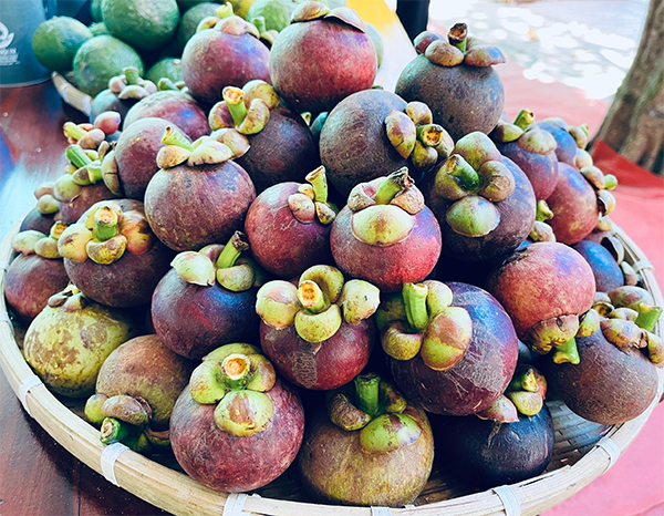 Hương vị trái măng cụt