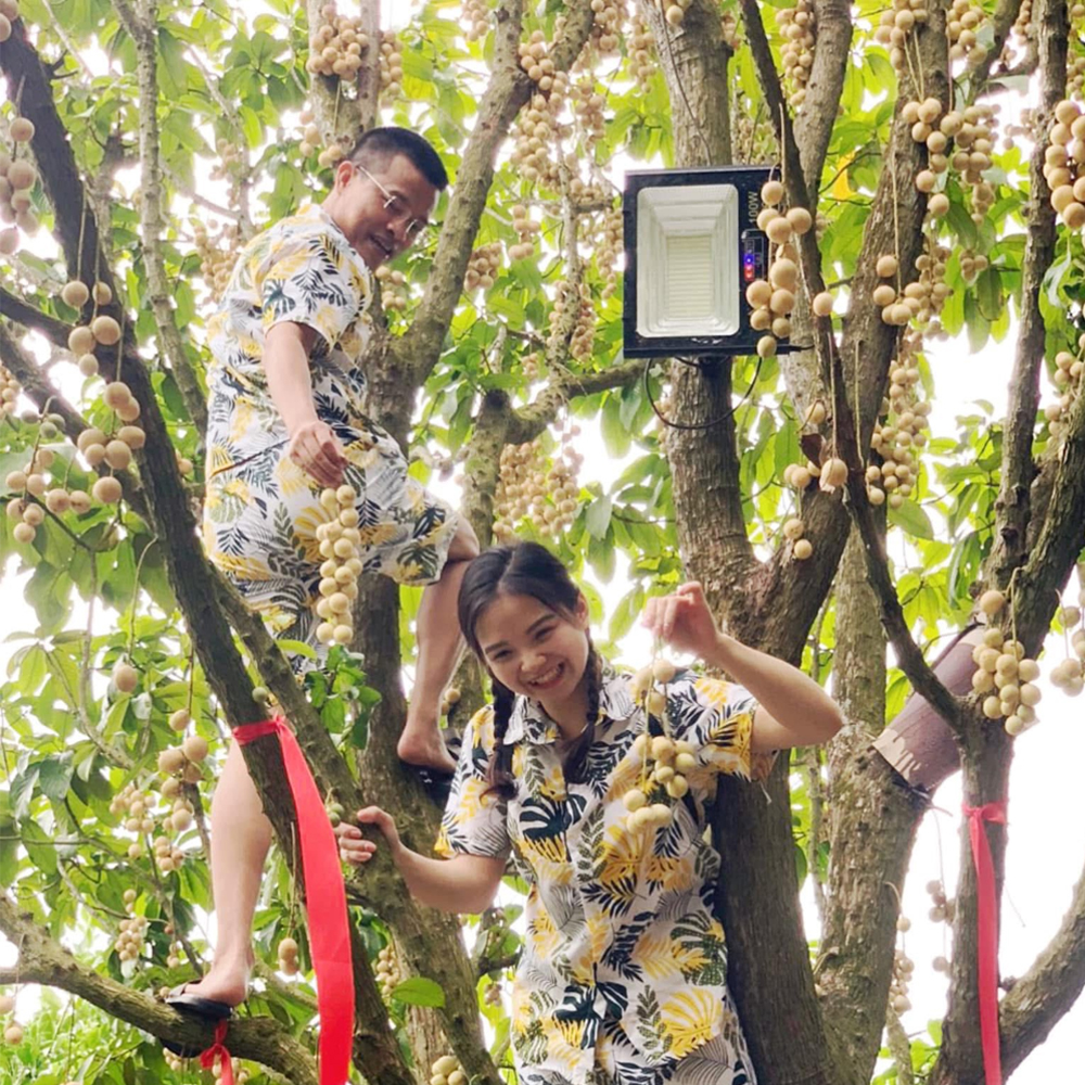 Những Trải Nghiệm Tại Tuấn Tường Trong Mùa Dâu Hạ Châu Này