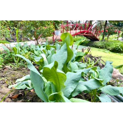 Những Hoạt Động Trãi Nghiệm Thú Vị Ở Tuấn Tường