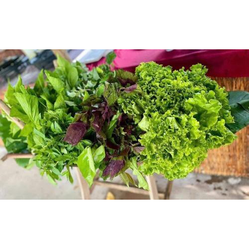 Buffet Bánh Cống & Bánh Bèo Đậm Chất Miền Tây Tại Khu Du Lịch Tuấn Tường