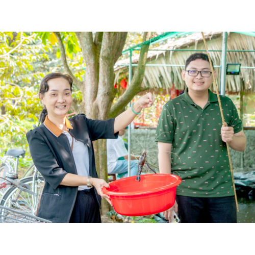 Các hoạt động chữa lành tại Tuấn Tường