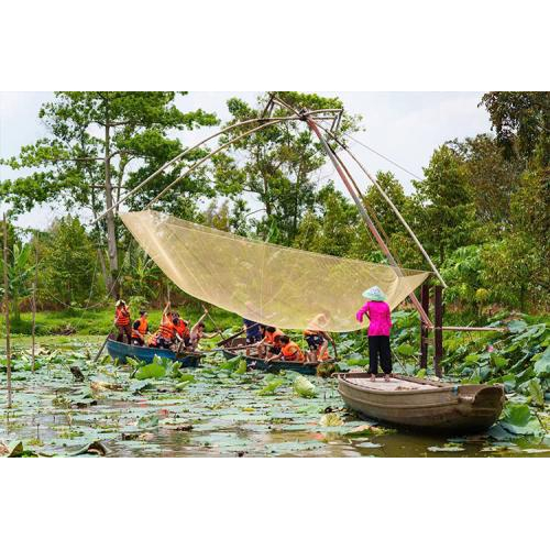Ghe lướt giữa thiên nhiên xanh mát