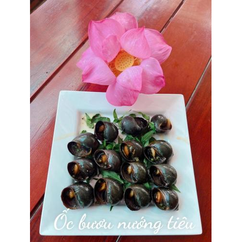 Thực đơn mùa hè đặc sắc – Tinh hoa ẩm thực miền Tây tại Tuấn Tường
