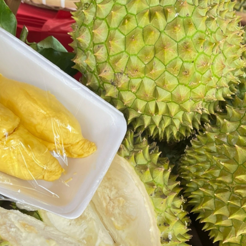 Tận Hưởng Trọn Vẹn Mùa Sầu Riêng Tại Tuấn Tường