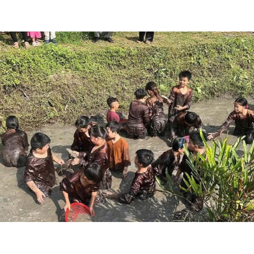 Du Lịch Nhóm – Gắn Kết Tình Đồng Đội Tại Khu Du Lịch Tuần Tường