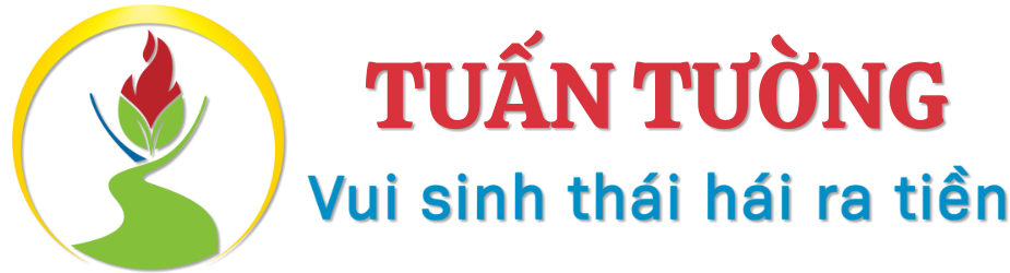 Du Lịch Tuấn Tường