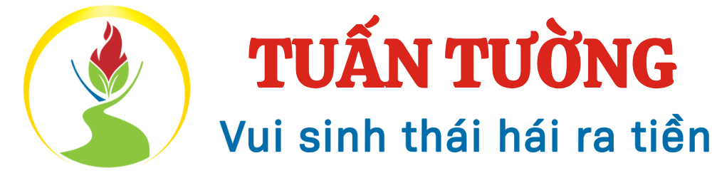 Du Lịch Tuấn Tường