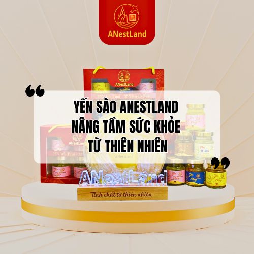 Yến Sào ANestLand - Nâng Tầm Sức Khỏe Từ Thiên Nhiên