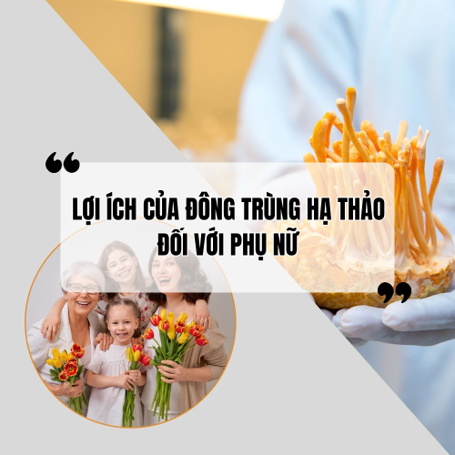 Lợi Ích Tuyệt Vời Của Đông Trùng Hạ Thảo Đối Với Sức Khỏe Phụ Nữ