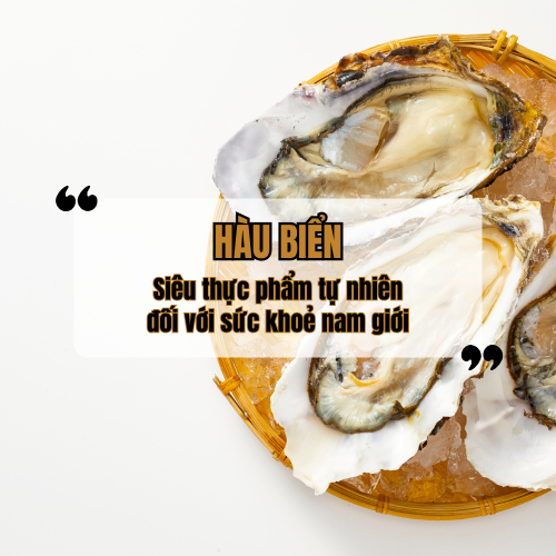 Hàu Biển - Siêu Thực Phẩm Tự Nhiên Đối Với Sức Khỏe Nam Giới